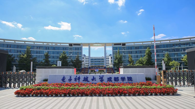 电子设计培训：揭秘十大品牌背后的实力与选择