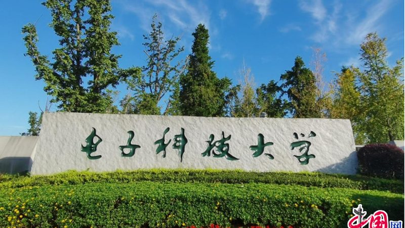 PCB打样定制：揭秘价格背后的关键因素