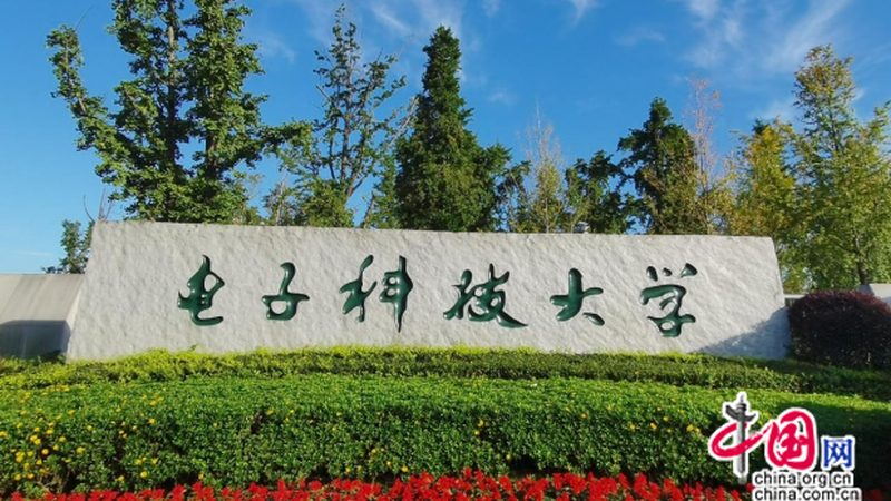 稳压二极管：揭秘其稳定背后的技术奥秘